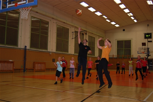 Obrázek v galerii